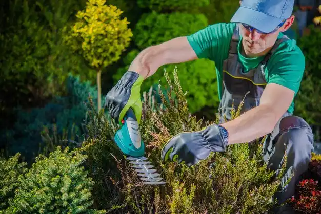landscaping services Deckerville